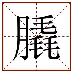 膬田字格_膬田字格书写_膬田字格笔顺_膬田字格字帖_膬田字格模板