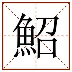 鮉田字格_鮉田字格书写_鮉田字格笔顺_鮉田字格字帖_鮉田字格模板