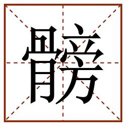 髈田字格_髈田字格书写_髈田字格笔顺_髈田字格字帖_髈田字格模板