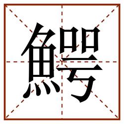 鰐田字格_鰐田字格书写_鰐田字格笔顺_鰐田字格字帖_鰐田字格模板