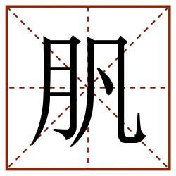 䏎田字格_䏎田字格书写_䏎田字格笔顺_䏎田字格字帖_䏎田字格模板