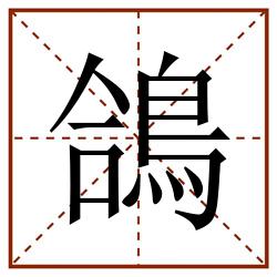 鴿田字格_鴿田字格书写_鴿田字格笔顺_鴿田字格字帖_鴿田字格模板