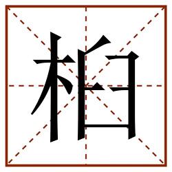 桕田字格_桕田字格书写_桕田字格笔顺_桕田字格字帖_桕田字格模板