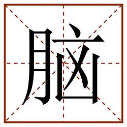 脑田字格_脑田字格书写_脑田字格笔顺_脑田字格字帖_脑田字格模板