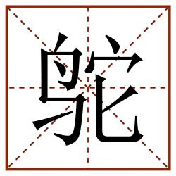 鸵田字格_鸵田字格书写_鸵田字格笔顺_鸵田字格字帖_鸵田字格模板