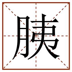 胰田字格_胰田字格书写_胰田字格笔顺_胰田字格字帖_胰田字格模板
