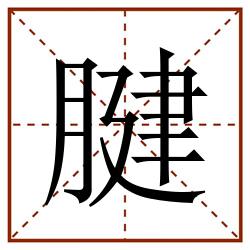 腱田字格_腱田字格书写_腱田字格笔顺_腱田字格字帖_腱田字格模板