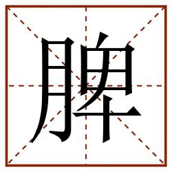 脾田字格_脾田字格书写_脾田字格笔顺_脾田字格字帖_脾田字格模板