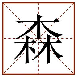 森田字格_森田字格书写_森田字格笔顺_森田字格字帖_森田字格模板