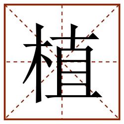 植田字格_植田字格书写_植田字格笔顺_植田字格字帖_植田字格模板