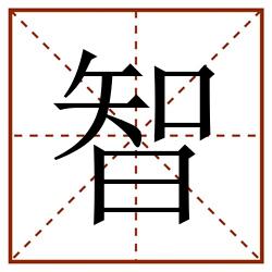 智田字格_智田字格书写_智田字格笔顺_智田字格字帖_智田字格模板