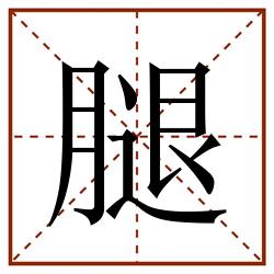 腿田字格_腿田字格书写_腿田字格笔顺_腿田字格字帖_腿田字格模板