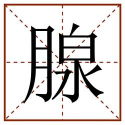 腺田字格_腺田字格书写_腺田字格笔顺_腺田字格字帖_腺田字格模板