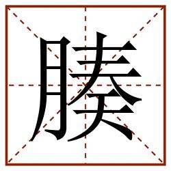 腠田字格_腠田字格书写_腠田字格笔顺_腠田字格字帖_腠田字格模板