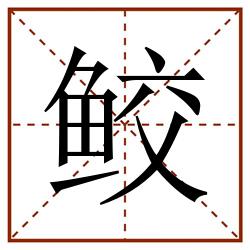 鲛田字格_鲛田字格书写_鲛田字格笔顺_鲛田字格字帖_鲛田字格模板
