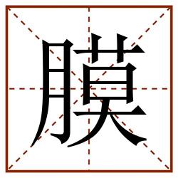 膜田字格_膜田字格书写_膜田字格笔顺_膜田字格字帖_膜田字格模板