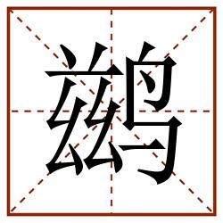 鹚田字格_鹚田字格书写_鹚田字格笔顺_鹚田字格字帖_鹚田字格模板