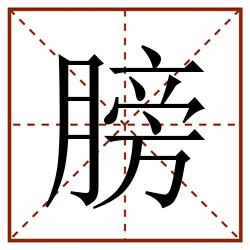 膀田字格_膀田字格书写_膀田字格笔顺_膀田字格字帖_膀田字格模板