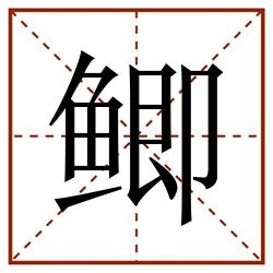 鲫田字格_鲫田字格书写_鲫田字格笔顺_鲫田字格字帖_鲫田字格模板
