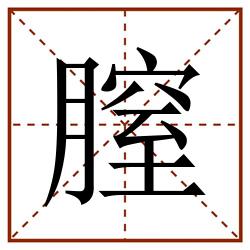 膣田字格_膣田字格书写_膣田字格笔顺_膣田字格字帖_膣田字格模板