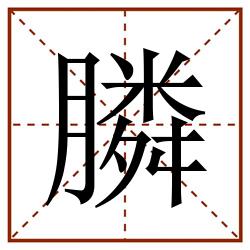 膦田字格_膦田字格书写_膦田字格笔顺_膦田字格字帖_膦田字格模板