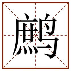 鹧田字格_鹧田字格书写_鹧田字格笔顺_鹧田字格字帖_鹧田字格模板