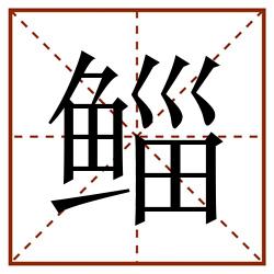 鲻田字格_鲻田字格书写_鲻田字格笔顺_鲻田字格字帖_鲻田字格模板