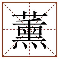 薰田字格_薰田字格书写_薰田字格笔顺_薰田字格字帖_薰田字格模板