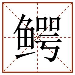 鳄田字格_鳄田字格书写_鳄田字格笔顺_鳄田字格字帖_鳄田字格模板