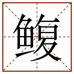 鳆田字格_鳆田字格书写_鳆田字格笔顺_鳆田字格字帖_鳆田字格模板