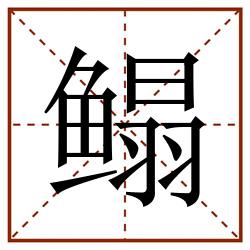 鳎田字格_鳎田字格书写_鳎田字格笔顺_鳎田字格字帖_鳎田字格模板
