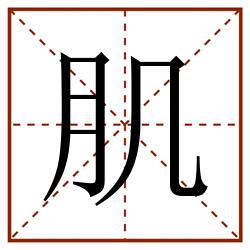 肌田字格_肌田字格书写_肌田字格笔顺_肌田字格字帖_肌田字格模板