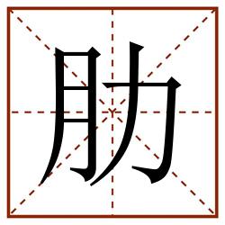 肋田字格_肋田字格书写_肋田字格笔顺_肋田字格字帖_肋田字格模板