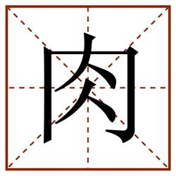 肉田字格_肉田字格书写_肉田字格笔顺_肉田字格字帖_肉田字格模板