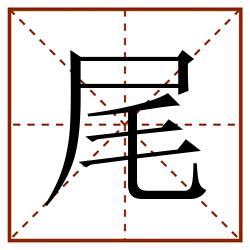尾田字格_尾田字格书写_尾田字格笔顺_尾田字格字帖_尾田字格模板