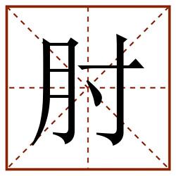 肘田字格_肘田字格书写_肘田字格笔顺_肘田字格字帖_肘田字格模板