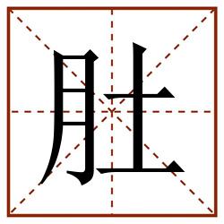 肚田字格_肚田字格书写_肚田字格笔顺_肚田字格字帖_肚田字格模板