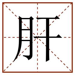 肝田字格_肝田字格书写_肝田字格笔顺_肝田字格字帖_肝田字格模板