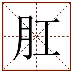 肛田字格_肛田字格书写_肛田字格笔顺_肛田字格字帖_肛田字格模板