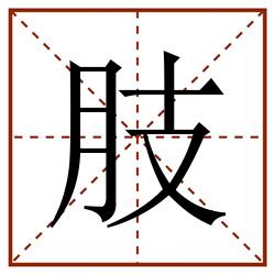 肢田字格_肢田字格书写_肢田字格笔顺_肢田字格字帖_肢田字格模板
