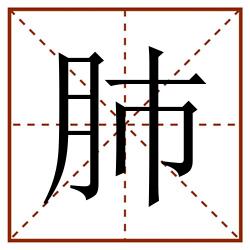 肺田字格_肺田字格书写_肺田字格笔顺_肺田字格字帖_肺田字格模板