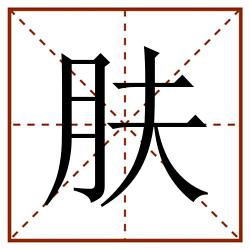肤田字格_肤田字格书写_肤田字格笔顺_肤田字格字帖_肤田字格模板