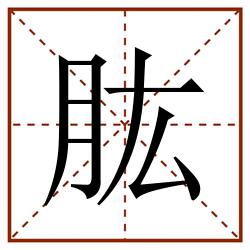 肱田字格_肱田字格书写_肱田字格笔顺_肱田字格字帖_肱田字格模板
