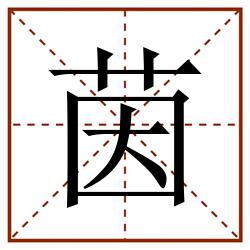 茵田字格_茵田字格书写_茵田字格笔顺_茵田字格字帖_茵田字格模板