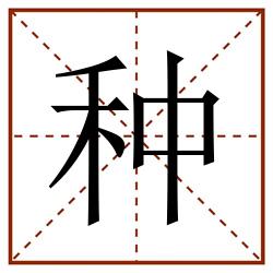 种田字格_种田字格书写_种田字格笔顺_种田字格字帖_种田字格模板