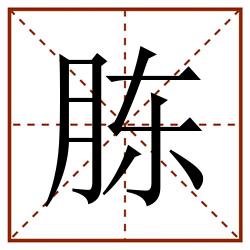 胨田字格_胨田字格书写_胨田字格笔顺_胨田字格字帖_胨田字格模板